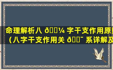 命理解析八 🌼 字干支作用原则（八字干支作用关 🐯 系详解及断语）